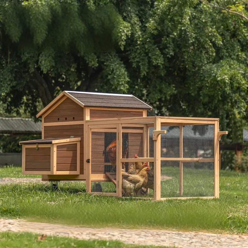 Large Sustainable Wooden Chick - Sustainable Living Walla Walla review and price